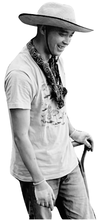 Failed to load an image