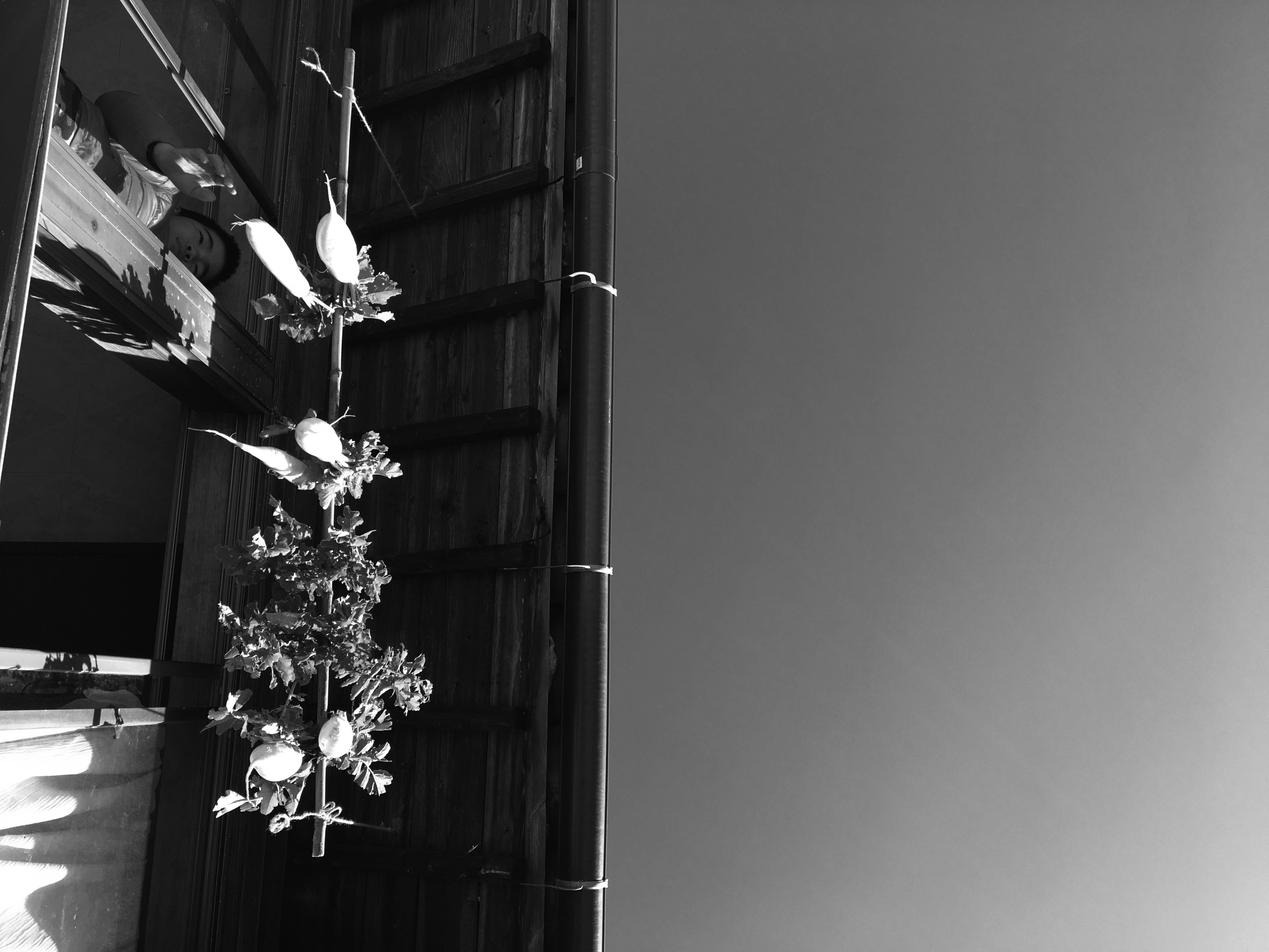 Failed to load an image